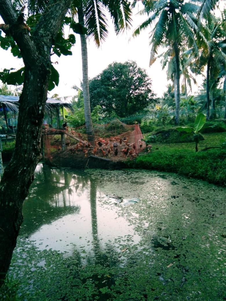 Thomman'S Farm Stay Kottayam Exterior photo